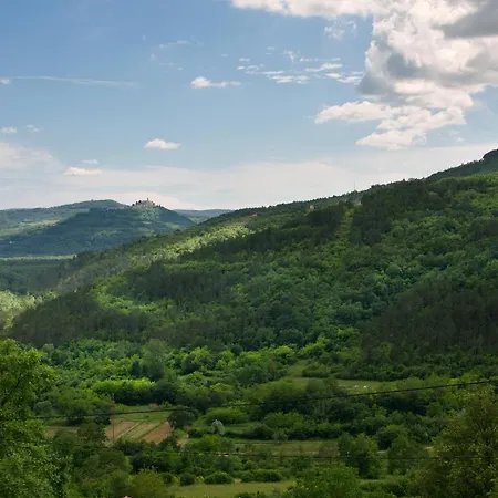 Vila * Gradinje